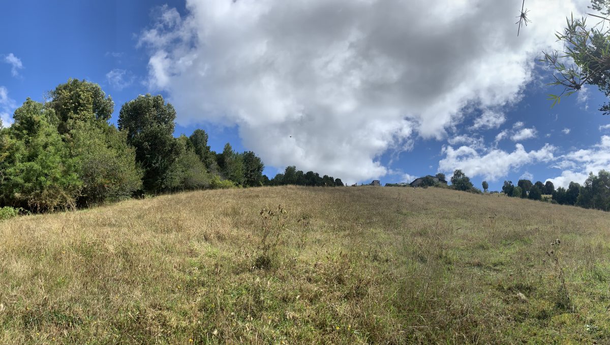 IMG-6171